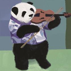 Panda Violinist | Obraz na stenu