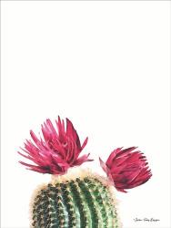 Flowered Cactus | Obraz na stenu