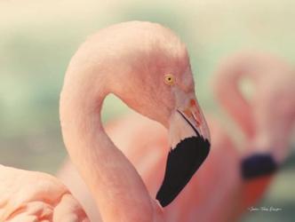 Pink Flamingo | Obraz na stenu