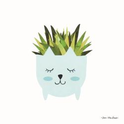 Cat Plant | Obraz na stenu