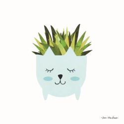 Cat Plant | Obraz na stenu