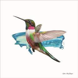 Hummingbird II | Obraz na stenu
