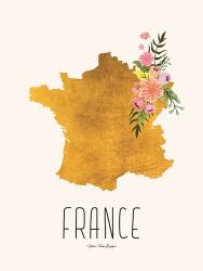 Gold France | Obraz na stenu