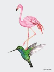 The Hummingbird and the Flamingo | Obraz na stenu
