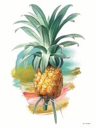 Pineapple I | Obraz na stenu