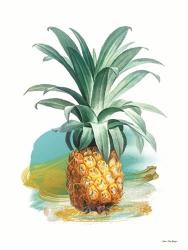 Pineapple II | Obraz na stenu