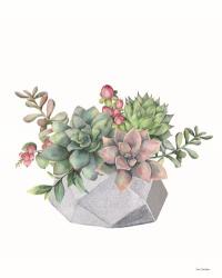 Watercolor Succulents | Obraz na stenu