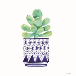 The Cacti | Obraz na stenu