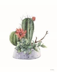 Watercolor Cactus | Obraz na stenu