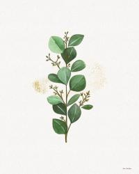 Eucalyptus II | Obraz na stenu
