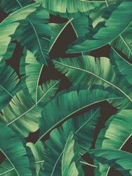 Tropical Leaves II | Obraz na stenu