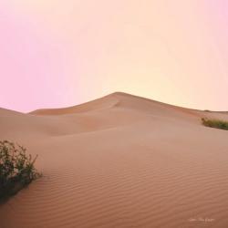 The Calm Dune | Obraz na stenu