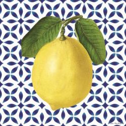 Mediterranean Lemon | Obraz na stenu