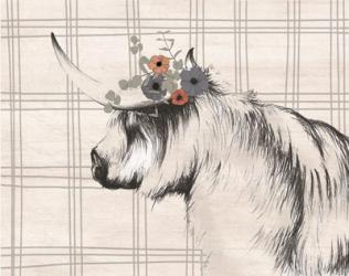Highland Cow in Gray | Obraz na stenu