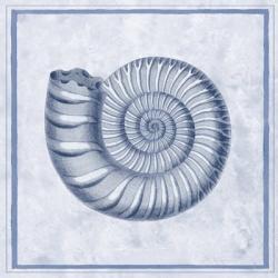 Blue Nautilus B | Obraz na stenu