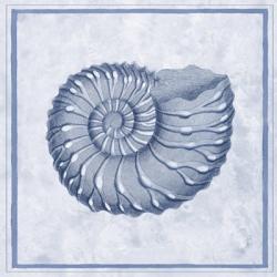Blue Nautilus C | Obraz na stenu