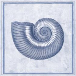 Blue Nautilus D | Obraz na stenu