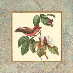 Bel Air Songbirds I | Obraz na stenu