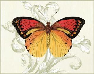 Butterfly Theme III | Obraz na stenu