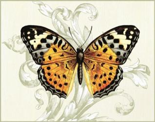 Butterfly Theme IV | Obraz na stenu