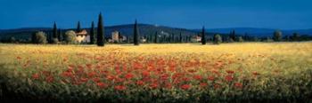Tuscan Panorama - Poppies | Obraz na stenu