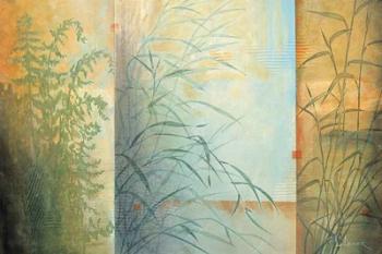 Ferns & Grasses | Obraz na stenu