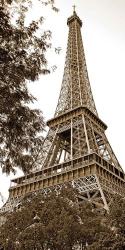 La Tour Eiffel I | Obraz na stenu