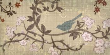 Songbird I | Obraz na stenu