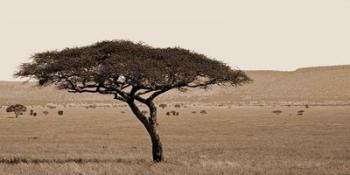 Serengeti Horizons I | Obraz na stenu