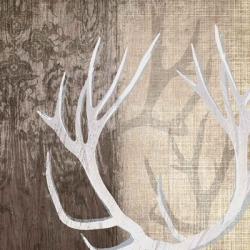 Deer Lodge I | Obraz na stenu