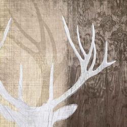 Deer Lodge II | Obraz na stenu
