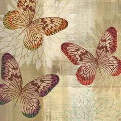Tropical Butterflies I | Obraz na stenu