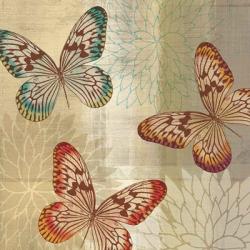 Tropical Butterflies II | Obraz na stenu