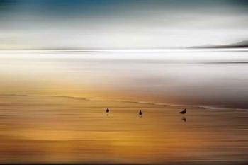 Quiet Invitation | Obraz na stenu