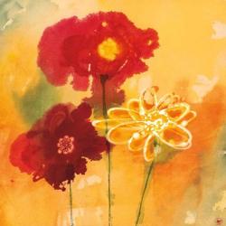 Sunflowers II | Obraz na stenu