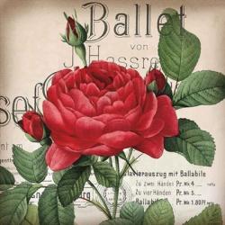 Scent of a Rose I | Obraz na stenu