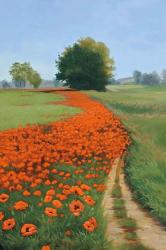 Poppy Field | Obraz na stenu