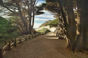 Big Sur | Obraz na stenu