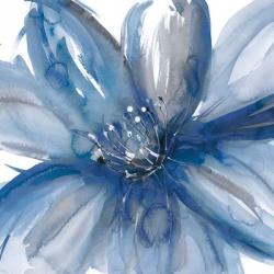 Blue Beauty I | Obraz na stenu
