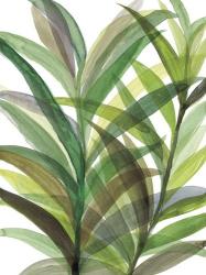 Tropical Greens II | Obraz na stenu
