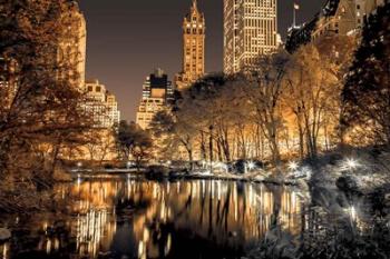 Central Park Glow | Obraz na stenu