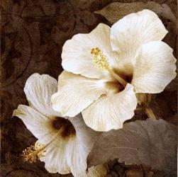 Verdant Blooms | Obraz na stenu