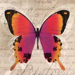 Butterflies III | Obraz na stenu
