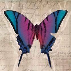 Butterflies IV | Obraz na stenu