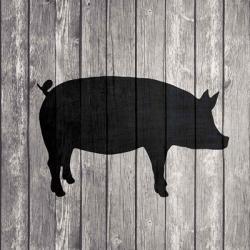 Barn Pig | Obraz na stenu