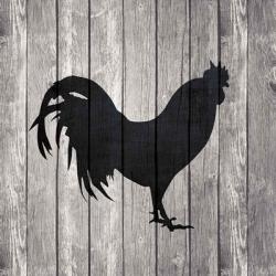 Barn Rooster | Obraz na stenu