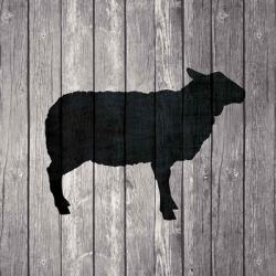 Barn Sheep | Obraz na stenu