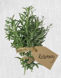 Rosemary | Obraz na stenu