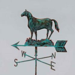 Rural Relic Horse | Obraz na stenu