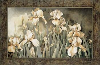 Field of Irises | Obraz na stenu
